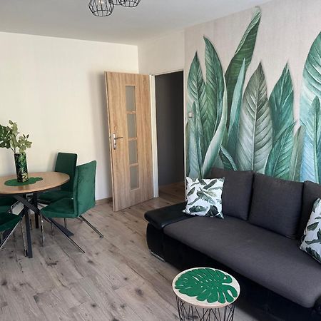 Blue Apartment Close To Old Town Bydgoszcz Exterior foto